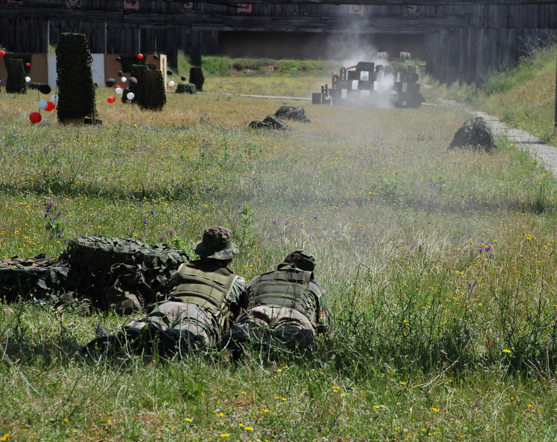 Dicionário Visual das Forças Militares Especiais 